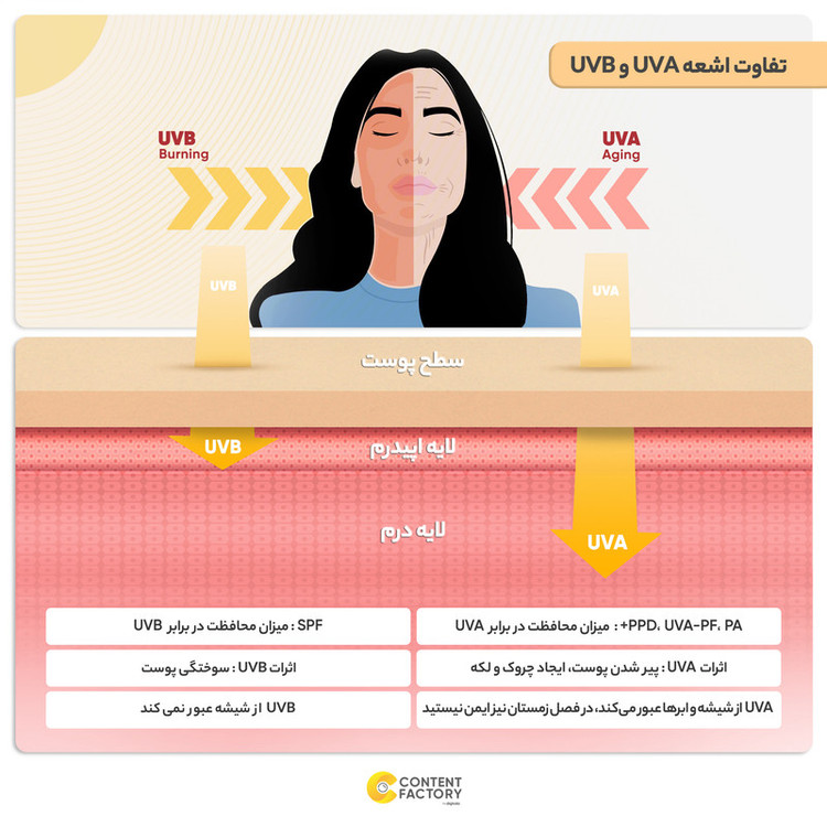 کرم ضد آفتاب بدون رنگ سنتلا، 50 SPF، مدل 1004، مناسب پوست حساس، نرمال و خشک و حجم 50 میلیلیتر، محافظت کننده در برابر اشعه UVA و UVB، بدون تست حیوانی، ++++PA، آبرسان، ضد التهاب، با ماندگاری 3 ساعته